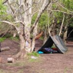Camping under trees at ACE Voices outdoor activity site.